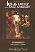 Jesus Outside the New Testament: Introduction to the Ancient Evidence (Studying the historical Jesus)