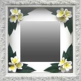 �s�C���e���A �~���[�tPlumeria Mirror Yellow�i�v�������A�~���[/�C�G���[�j