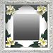 �s�C���e���A �~���[�tPlumeria Mirror Yellow�i�v�������A�~���[/�C�G���[�j