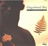 Gingerbread Boy