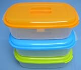 Plastic Storage / Food Box 30cm X 18cm X 9.5cm (US0078)