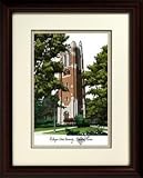 Alma Mater- Michigan State, Beaumont Tower Framed Lithograph