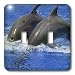 Kike Calvo Dolphins - Two dolphins diving together at Oceanographic Aquarium in Valencia, Spain - Light Switch Covers - double toggle switch