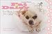 Fat Daisy: Inner Beauty Secrets from a Real Dog