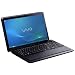 Sony Vaio F23S1E/B 41,6 cm (16,4 Zoll) Notebook (Intel Core i7 2670QM, 2,2GHz, 8GB RAM, 750GB HDD, NVIDIA GT 540M, Blu-ray, Win 7 HP) schwarz
