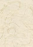 Brewster 53-65673 36-Inch by 288-Inch Suzume - Hand weaved Grasscloth Wallpaper, Mixed Color [並行輸入品]