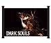 Dark Souls Game Fabric Wall Scroll Poster (28"x16") Inches