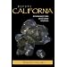 Before California: An Archaeologist Looks at Our Earliest Inhabitants