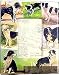 Vintage BORDER COLLIE decoupage frame by Blankety Blank