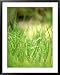 41O8CHFktmL. SL75  Action Photography Tips   How You Can Take Great Action Photos