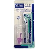 CET Toothbrush with 12gm Poultry Toothpaste, Mini