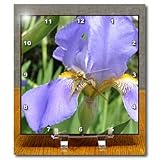 lavender iris - 6x6 Desk Clock