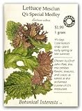 Lettuce Mesclun Q's Medley Certified Organic Seed