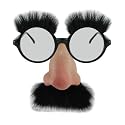 Groucho Glasses Adult