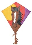 HQ Eddy Bronco