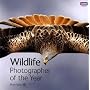 Wildlife Photographer of the Year: Portfolio 19