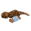 Webkinz Leopard Lizard with Trading Cards
