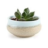 T4U 2.75 インチ 陶器鉢 シュガーシリーズ 多肉植物 サボテン鉢 フラワーポット プランター容器 青