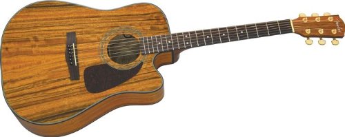 Fender CD220CE Dreadnought Acoustic-Electric Guitar Natural