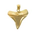 14K Yellow Gold Shark's Tooth Pendant - 3.9 grams