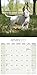 Bull Terrier Calendar - Only Dog Breed Bull Terriers Calendar - 2016 Wall calendars - Dog Calendars - Monthly Wall Calendar by Avonside