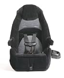 Cosco 22248BVL 1st Ventura Highback Booster Car Seat Rembrandt