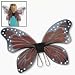 Kids Monarch Butterfly Wings