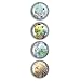 iPop Rachel Salomon Harbinger 4 Pack Clicks Magnet Set