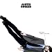 Further Complications [VINYL]