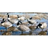 6 - Pk. Hard Core Full Body Canada Goose Finish Decoy Set
