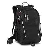 Jansport Agave Laptop Backpack