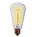 60 Watt Vintage Reproduction Original Edison Light Bulb