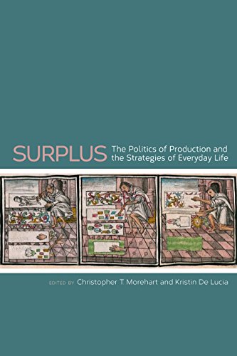 Surplus: The Politics of Production and the Strategies of Everyday Life