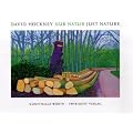 David Hockney � Nur Natur - Just Nature
