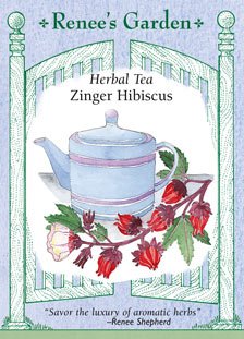 Hibiscus - Herbal Tea Seeds Hibiscus - Herbal Tea Seeds