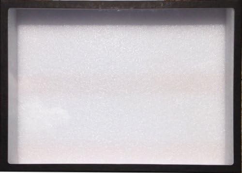 Insect Display Case, 14 x 20 x 3