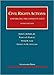 Civil Rights Actions: Enforcing the Constitution (University Casebook Series)