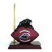 NFL Carolina Panthers Football Clock & Pen Office Desk Set