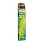 Ticonderoga Cedar Yellow Wood Pencils, #2/HB Soft Lead DIX13882