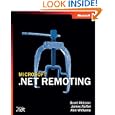 Microsoft%C2%AE Remoting Pro Developer Scott McLean