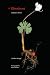 Bloodroot: Indiana Poems (Quarry Books)