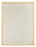 ���E���[�X �L�����p�X�s���{�[�h L 102780