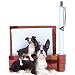 boston_terrier34boston terrier - Dog Breed Note Holder Boston Terrier
