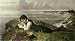 Absorbed in Robinson Crusoe