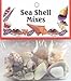 Sea Shell Mixes-Small