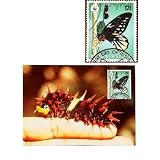 First Day of Issue WWF Queen Alexandra's Birdwing Caterpillar Stamp at ClassicCloseouts