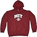New York Fashion Police MIT Hoodie - Massachusetts Institute of Technology Hooded Sweatshirt