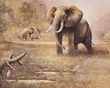 4 African Safari Prints Elephant Lion Tiger and Leopard Art Posters
