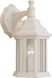 Forte Lighting 1715-01-13  Exterior Wall Light with Clear Beveled Glass  Shades, Matte White