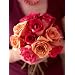 One Dozen Assorted Roses